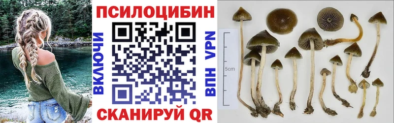 Псилоцибиновые грибы мицелий  Купить закладки  Петров Вал 